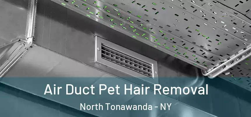 Air Duct Pet Hair Removal North Tonawanda - NY