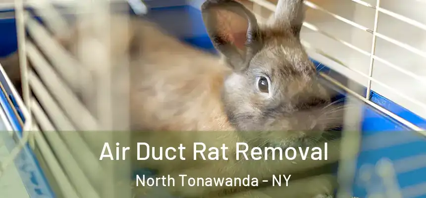  Air Duct Rat Removal North Tonawanda - NY