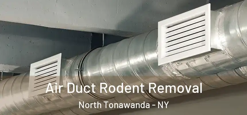  Air Duct Rodent Removal North Tonawanda - NY