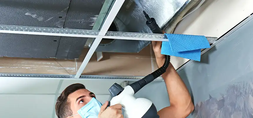 Our Air Duct Rodent Removal Services in North Tonawanda, NY