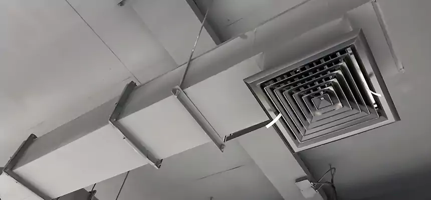 Our Rodent Droppings In Vents Services in North Tonawanda, NY