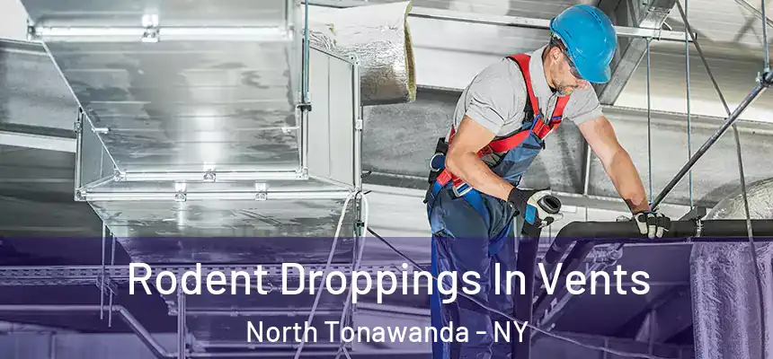 Rodent Droppings In Vents North Tonawanda - NY