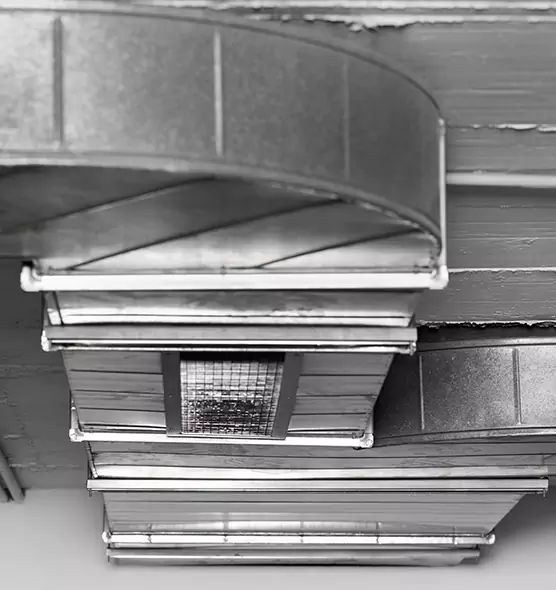 Professional Air Duct Pest Removal in North Tonawanda, NY