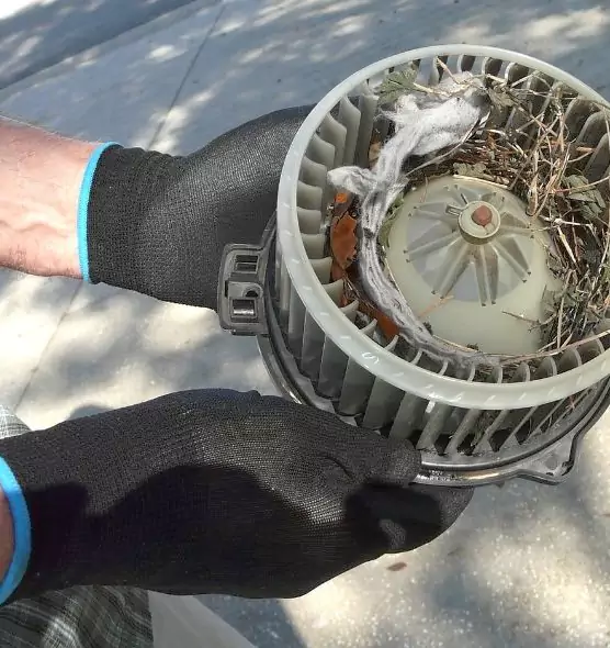 About Air Duct Rat Removal in North Tonawanda, NY