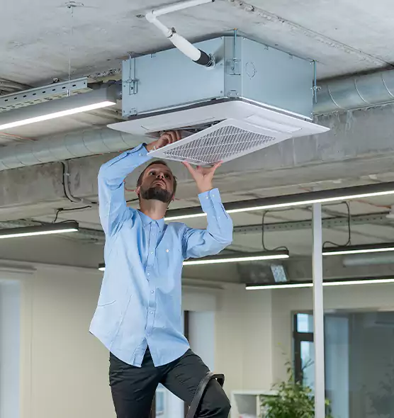 Advanced Rodent Droppings In Vents in North Tonawanda, NY